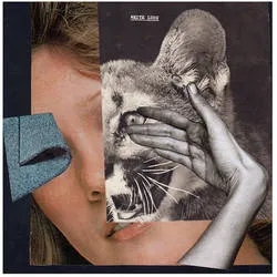 Album artwork for Drown With The Monster by White Lung