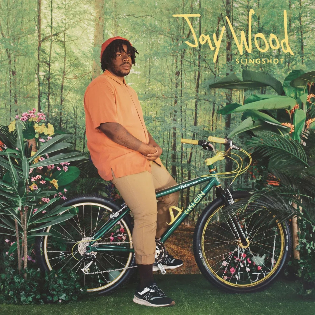 Album artwork for Slingshot by JayWood