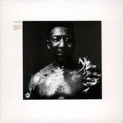 Album artwork for After The Rain by Muddy Waters