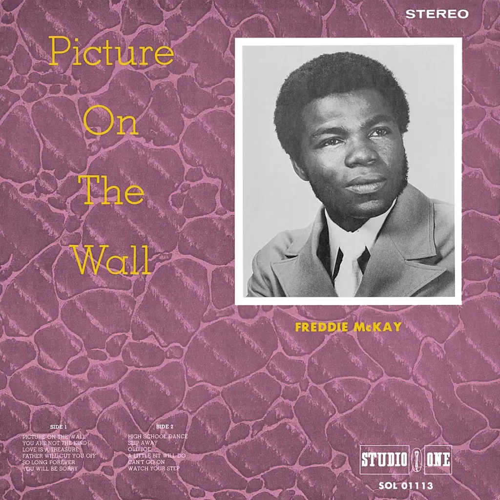 Album artwork for Picture on the Wall by Freddie McKay