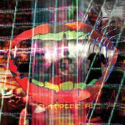 Album artwork for Centipede Hz - Deluxe by Animal Collective