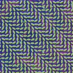 Album artwork for Merriweather Post Pavillion by Animal Collective