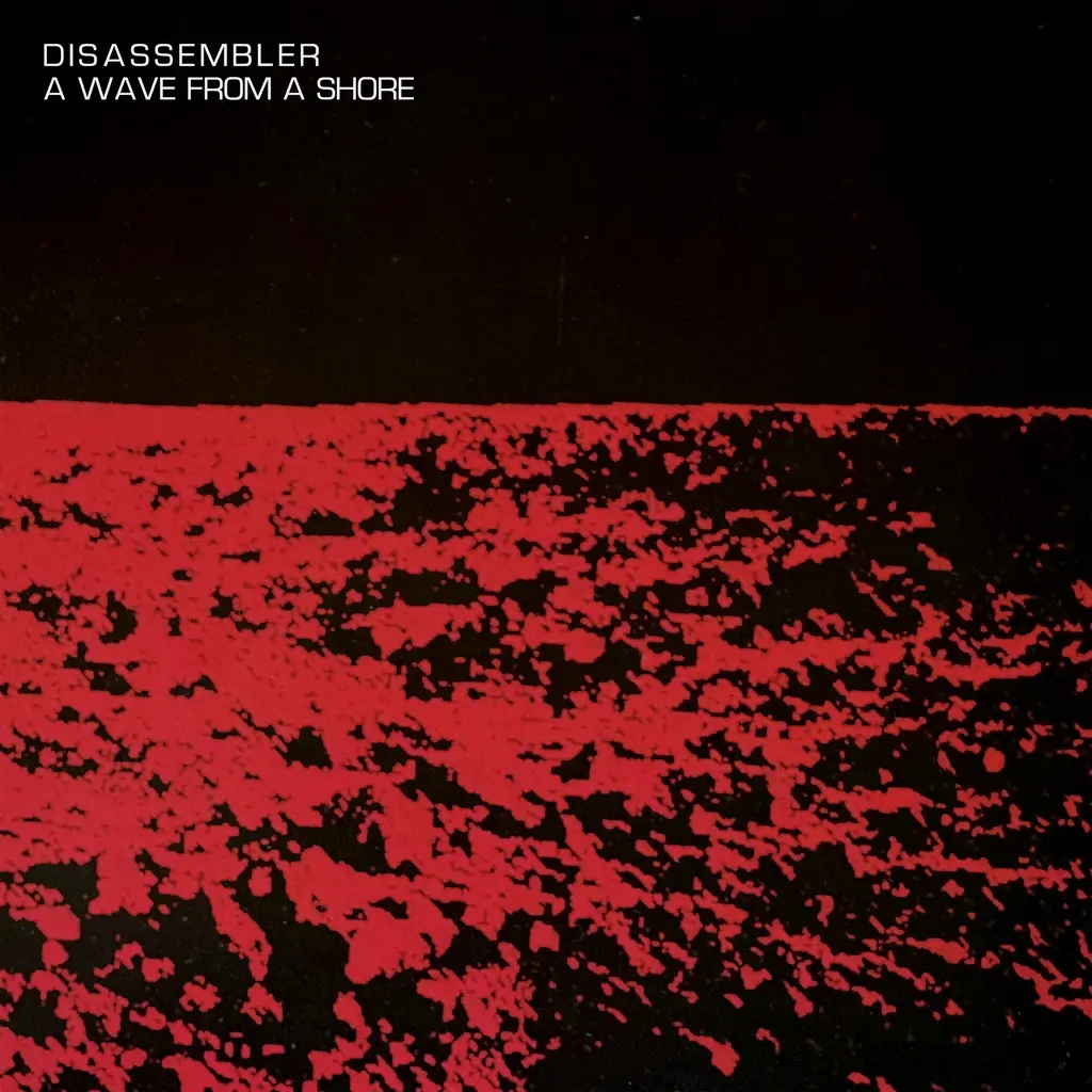 Album artwork for A Wave From A Shore by Disassembler