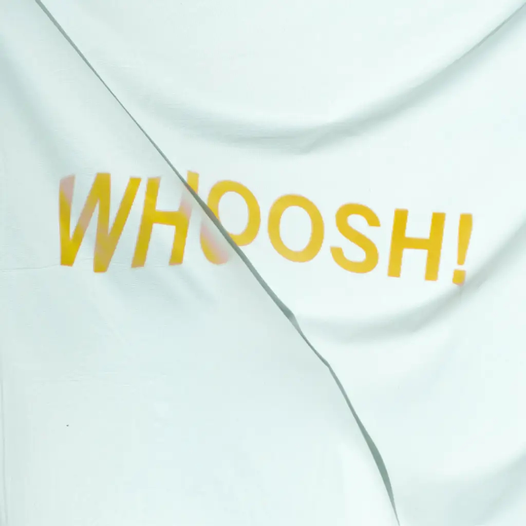 Album artwork for Whoosh by The Stroppies