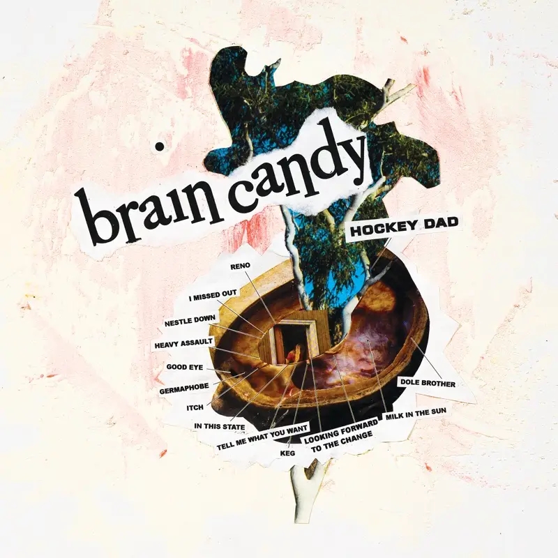 Album artwork for Brain Candy by Hockey Dad