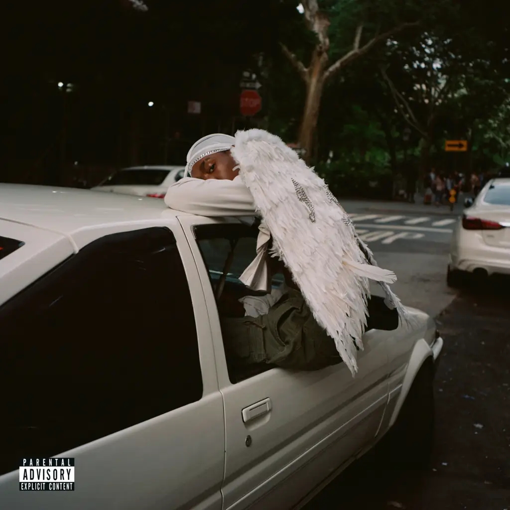 Album artwork for Negro Swan by Blood Orange