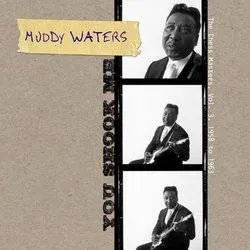 Album artwork for You Shook Me - The Chess Masters Volume 3 - 1958 To 1963 by Muddy Waters