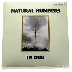 Album artwork for Natural Numbers In Dub by Natural Numbers