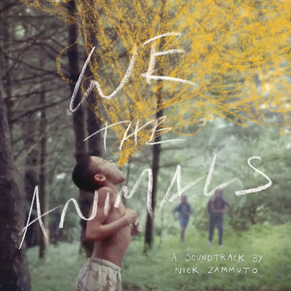 Album artwork for We the Animals: An Original Motion Picture Soundtrack by Nick Zammuto