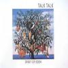 Album artwork for Spirit of Eden by Talk Talk