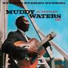 Album artwork for Muddy Waters at Newport by Muddy Waters